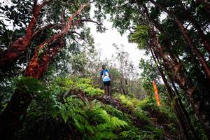 BIB: 
                            <button type="button" onclick="openModal(26201550)" class="btn btn-primary btn-sm float-right btn-popup" data-toggle="modal" data-target=".modal-high-quality">
                        <i class="fas fa-shopping-cart"></i> Add to Cart
                    </button>
                                            <button type="button" onclick="isThisMe(26201550, true)" class="btn btn-success btn-sm float-right btn-popup btn-isme hidden" data-toggle="tooltip" data-placement="bottom" title="นี่คือรูปของคุณใช่ไหม คลิกที่นี่เพื่อเอาเข้าอัลบั้ม">
                        <i class="fas fa-plus"></i> Add to album
                    </button>
                    <button type="button" onclick="isThisMe(26201550, false)" class="btn btn-warning btn-sm float-right btn-popup btn-isnotme hidden">
                        <i class="fas fa-ban"></i> Remove from album
                    </button>